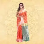 Fancy Saree Ex