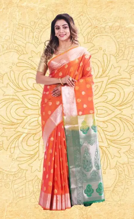 Fancy Saree Ex